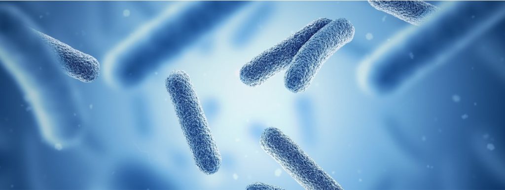 SOLO Microbiome - étude du rôle du microbiome | Oncodesign