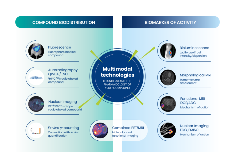 Preclinical Imaging Services | Multimodal technologies to understand the pharmacology