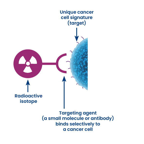 A small molecule or antibody with a radioactive isotope bind selectively to a cancer cell