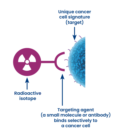 Molecular radiotherapy MRT - Oncodesign