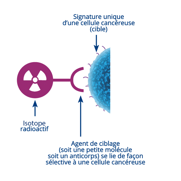 RadioThérapie Moléculaire - Oncodesign