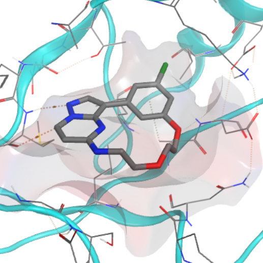 Nanocyclix RIPK2