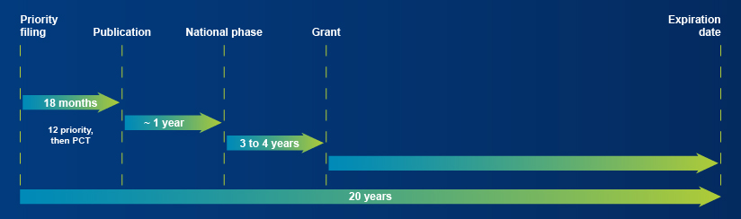 Patent Life Cycle