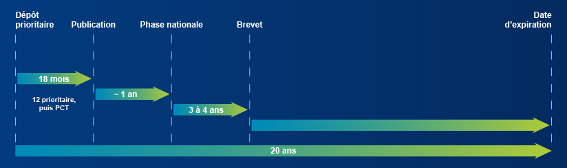 Cycle de vie