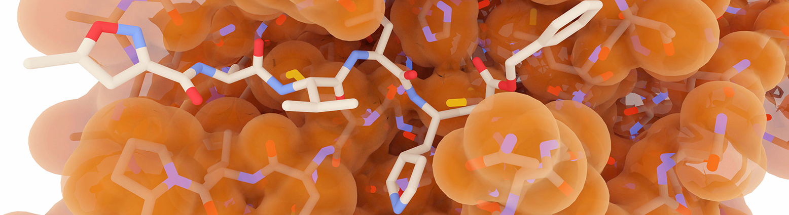 DRIVE-SM, a complete solution through the small molecule drug discovery journey