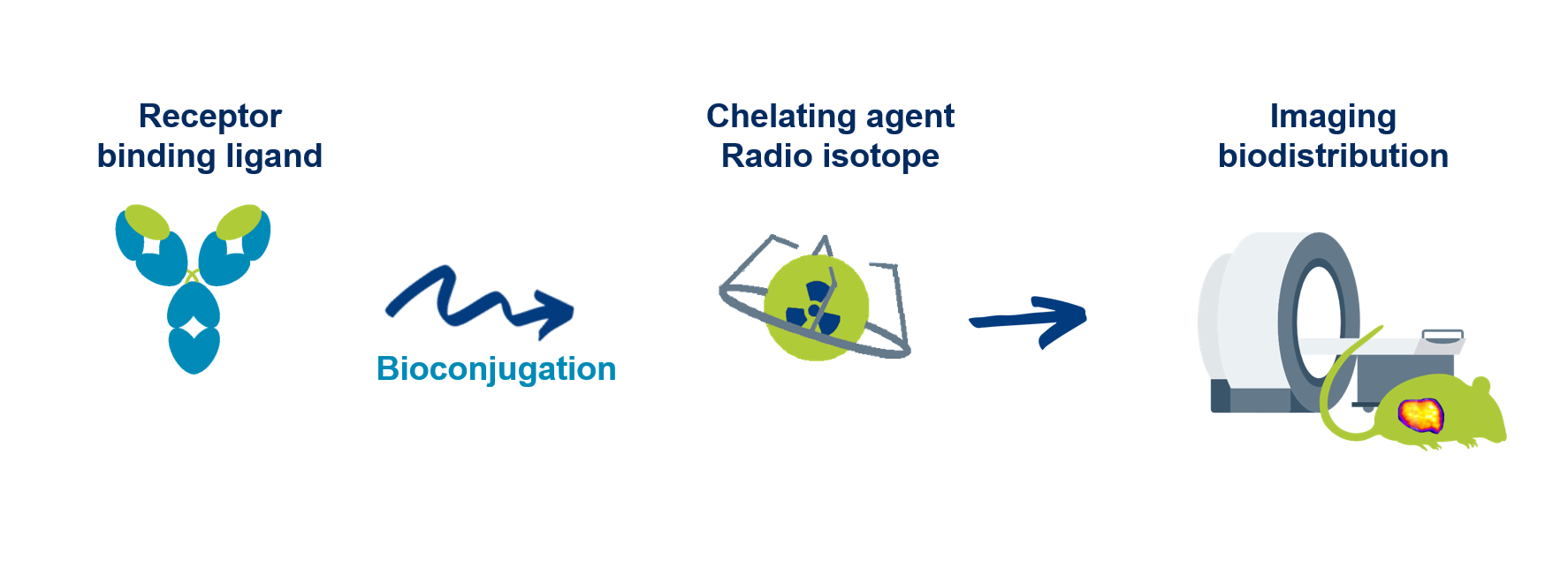 Lead optimization of chelating agent