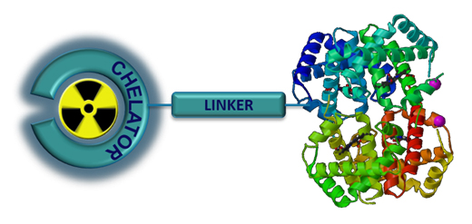 radiopharmaceutical agent for molecular radiotherapy