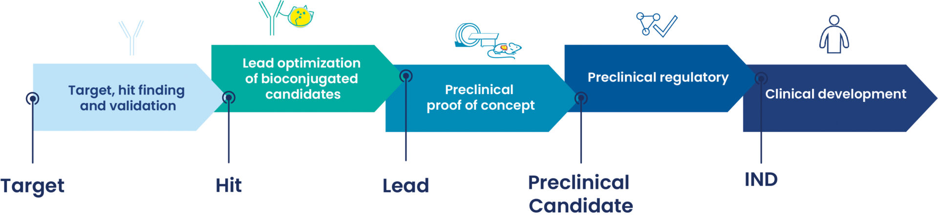 DRIVE-MRT, premium services in molecular radiotherapy | Oncodesign