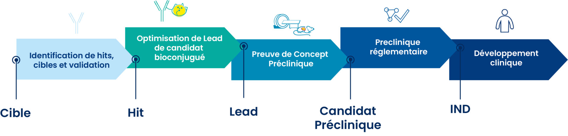 DRIVE-MRT, médecine nucléaire de l'identification de hits au développement clinique