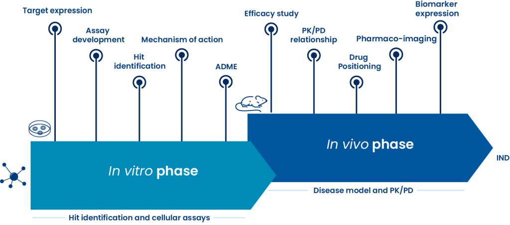 Typical screening cascade in PoC Oncology - Oncodesign