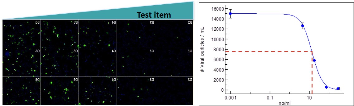 Infectious - validation of antibody neutralization capacity