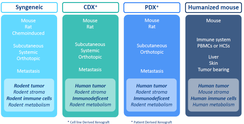 Tumor Models - table of models Syngeniec, CDX, PDX & humanized mouse