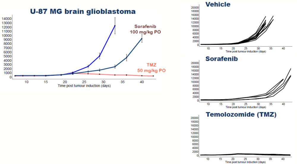 Tumor bank - U-87 MG brain glioblastoma_V2