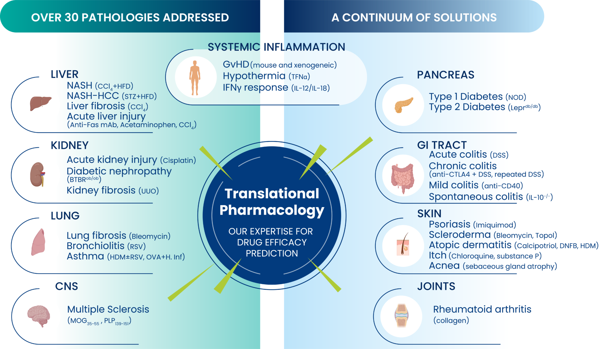 inflammation_models_EN