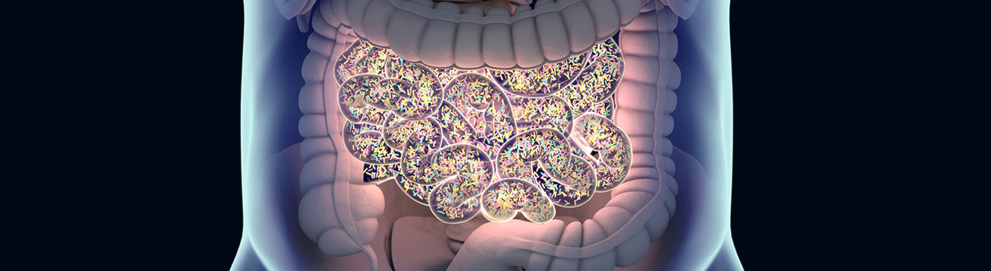 Gut microbes - Microbiome