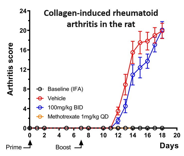 Autoimmunity - Collagen-induced arthritis score in rat