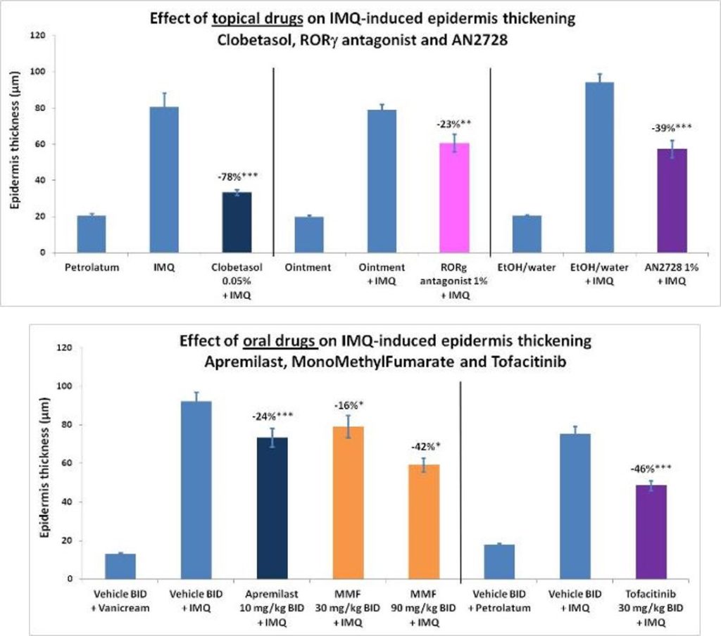 Dermal - Psoriasis Th17 targeting preclinical model