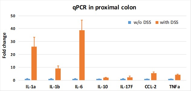 Gut models - Cytokine expression