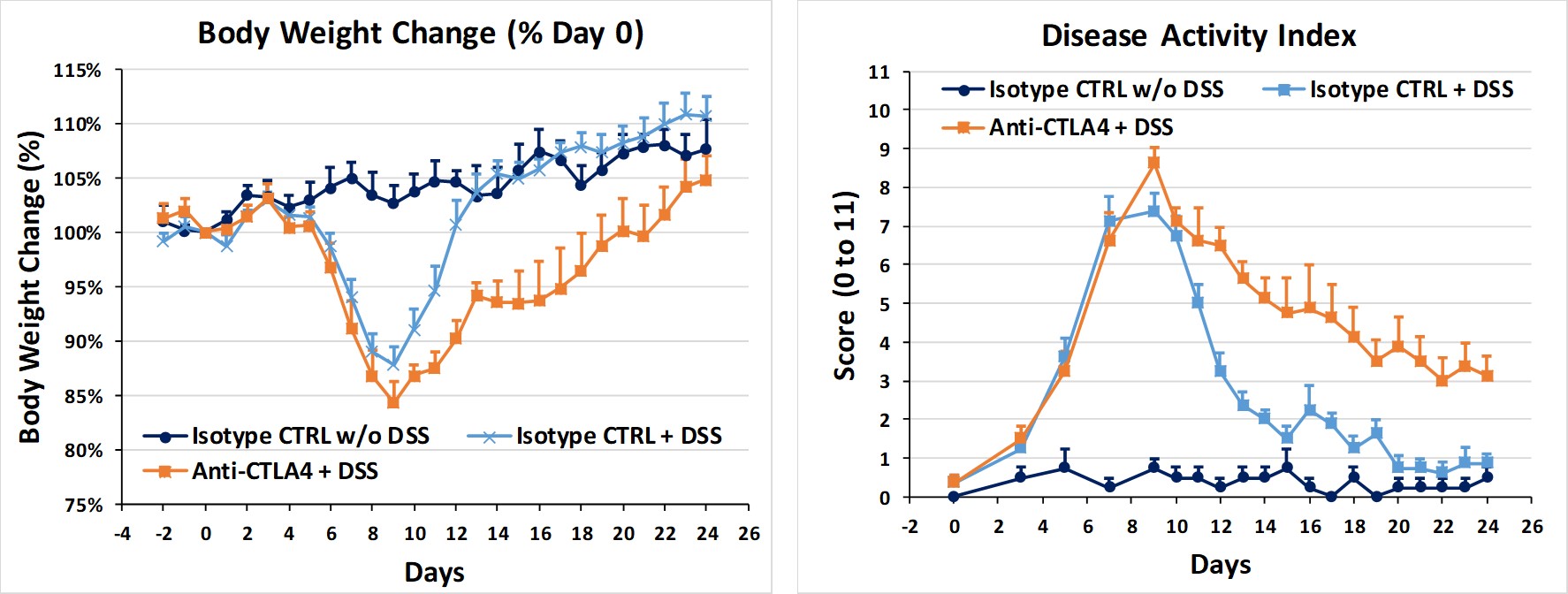 Gut - DSS CTLA4 chronic colitis model BW graph