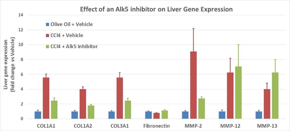 Liver - CCl4 liver fibrosis model gene expression ALK5 inhibitor response