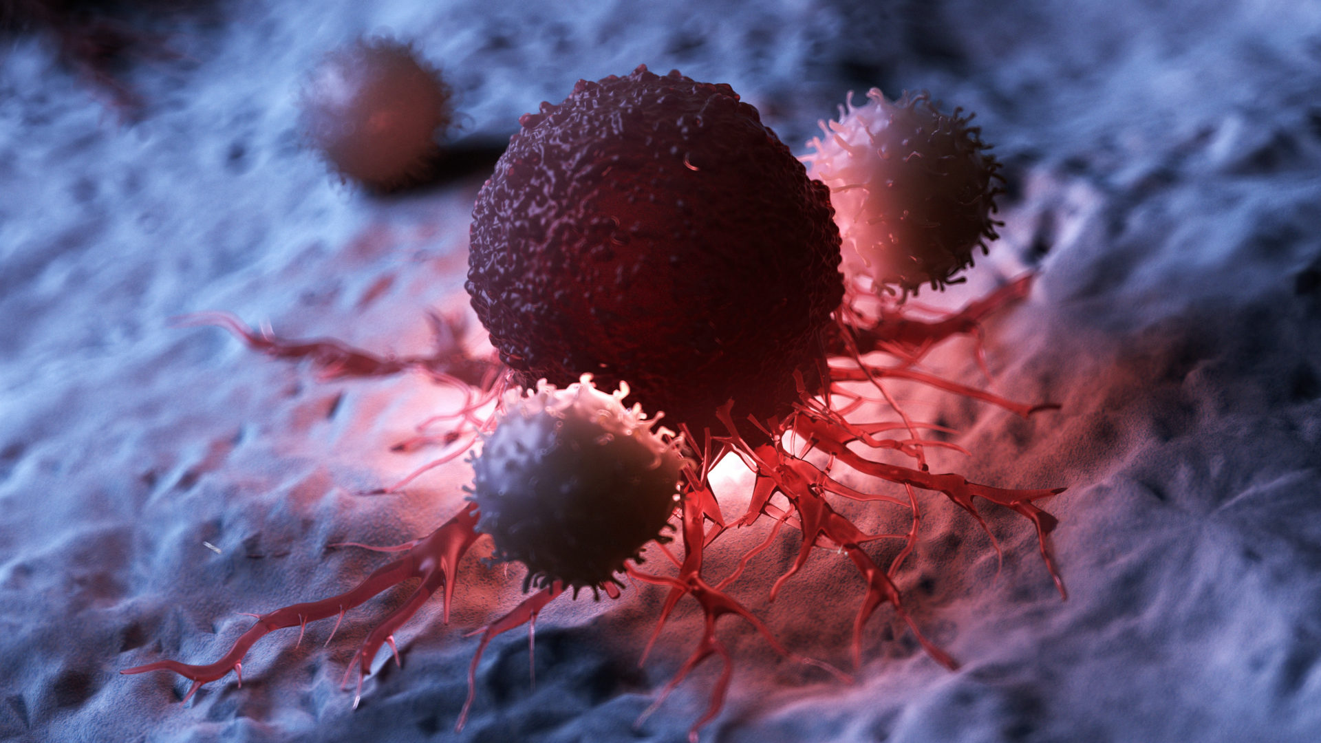 3d rendered medically accurate illustration of white blood cells