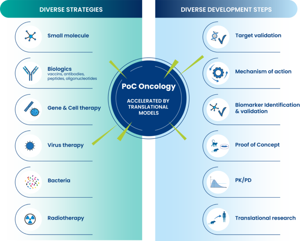 Oncology services accelerated by translational models