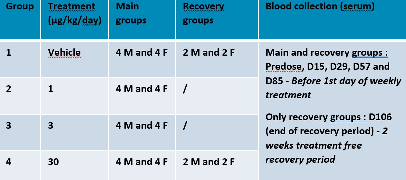 Immunogenicity testing in preclinical studies | CRO services