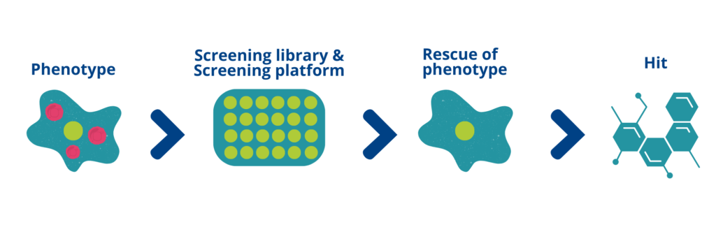 Phenotypic Screen - process 