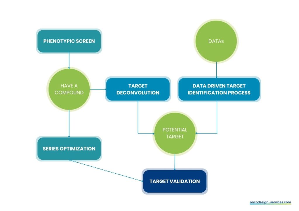 Target identification | Target validation | CRO services