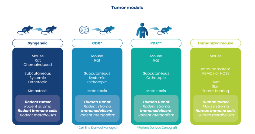 Different kind of tumor models