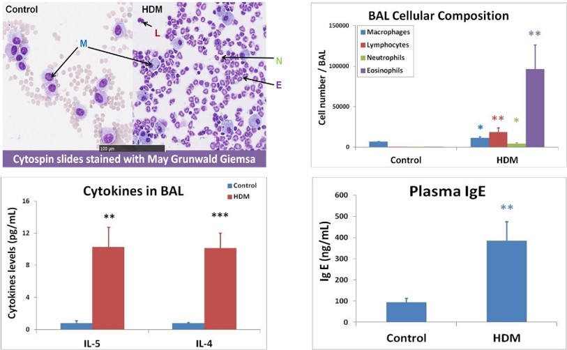 Asthma models | Oncodesign Services