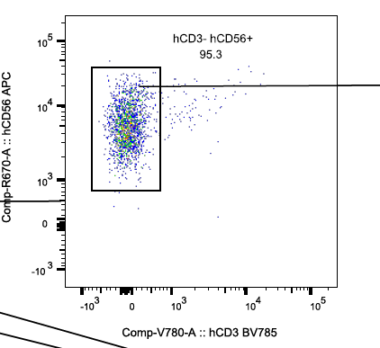 In vivo evaluation of NK cell therapy - 2