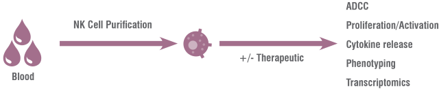 NK cells therapy services | Oncodesign Services