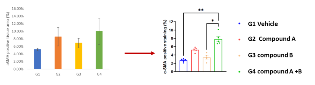 quantification IHC and Immunofluorescence analysis 