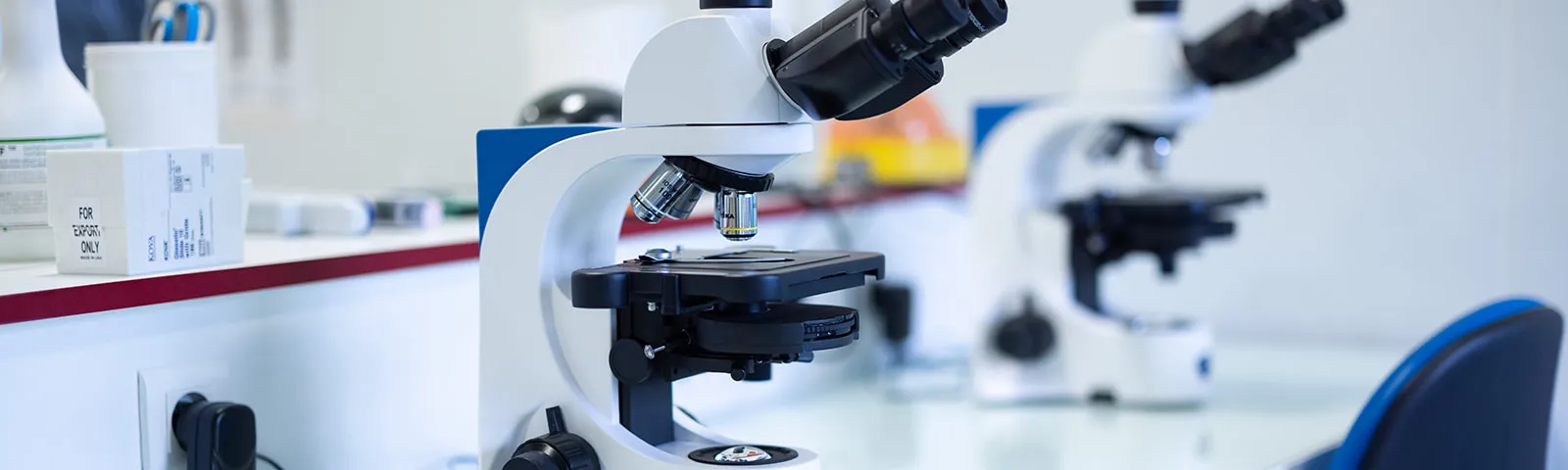Endometriosis-mouse-models-oncodesign-services