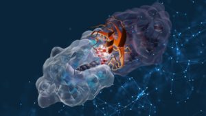 Structural Biology Guide [Download]