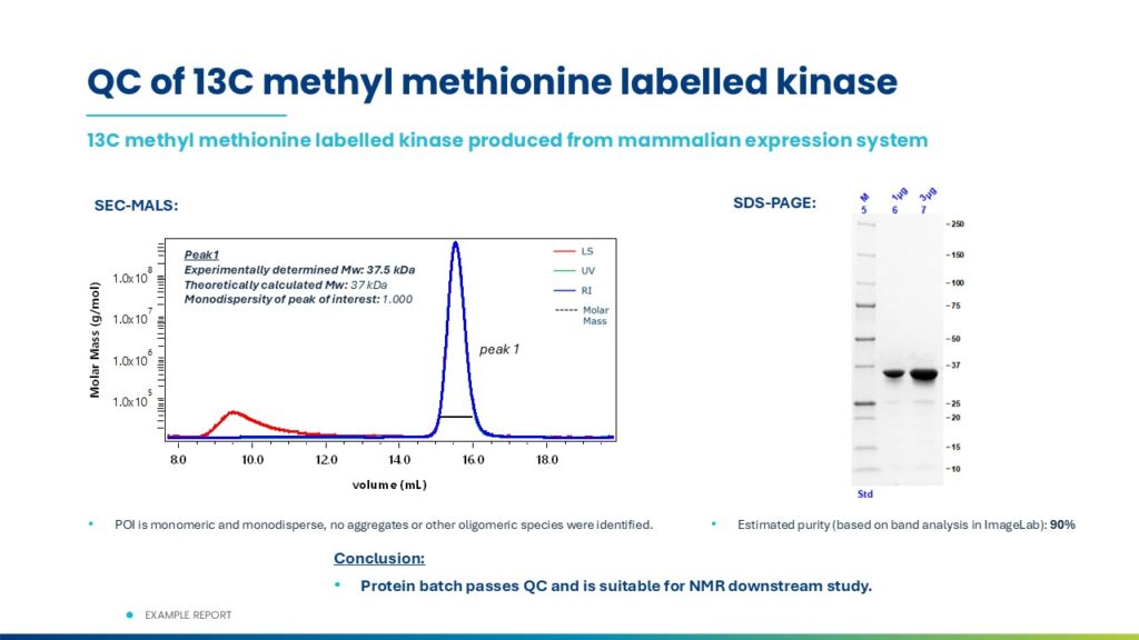 Example Protein Sciences QC Report