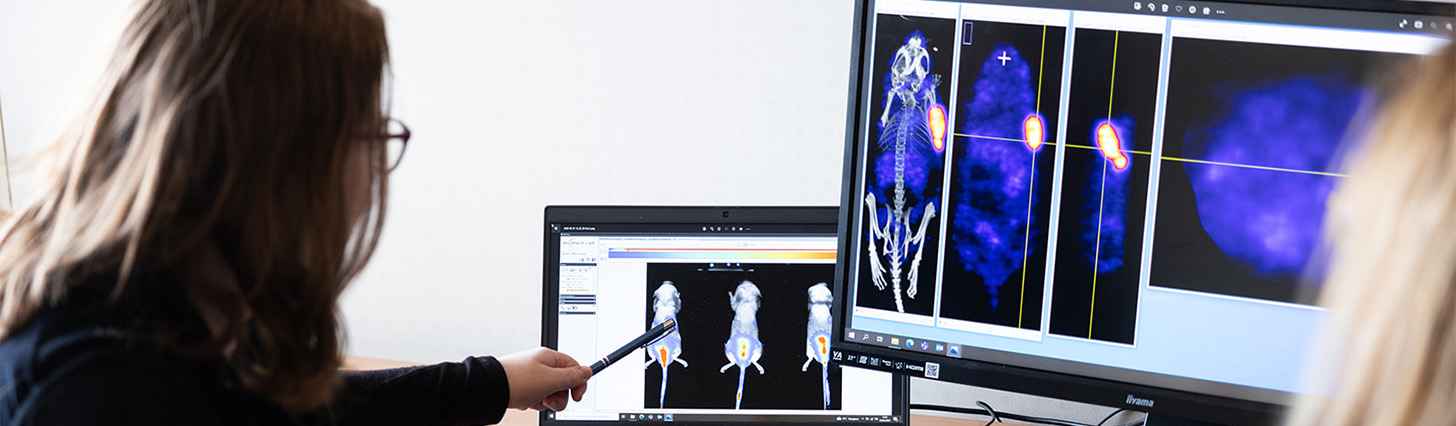 Scientist analyzing imaging data to support orthotopic models in oncology research
