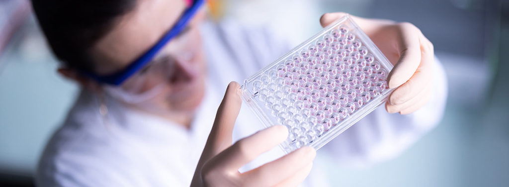 Animal Welfare and Continuous Improvement at Oncodesign Services