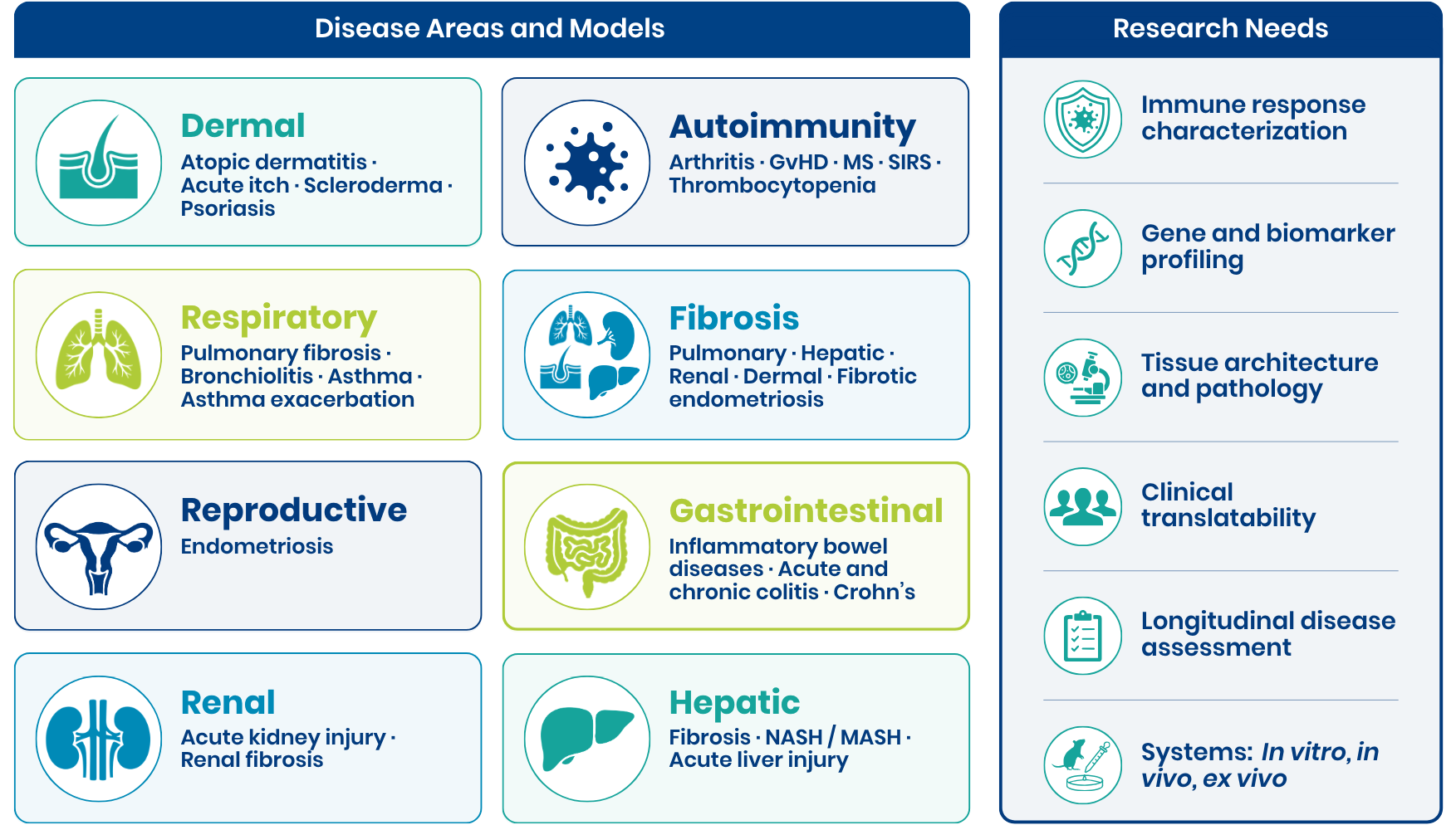 An infographic displaying the autoimmune and inflammatory diseases for which Oncodesign Services provides preclinical pharmacology CRO services.