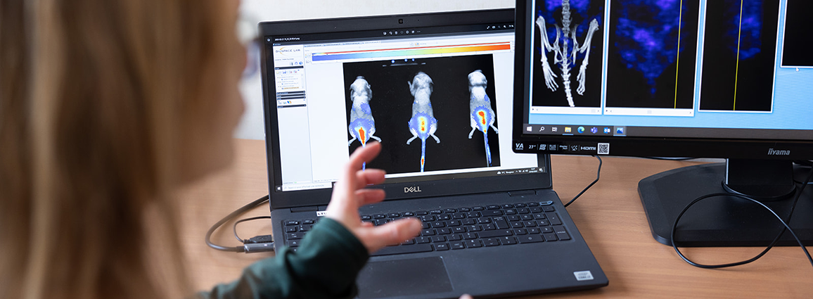 Metastasis Models Page - Banner
